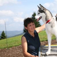 Hundetraining in Mitterfirmiansreut